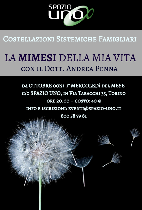 La MIMESI della mia Vita